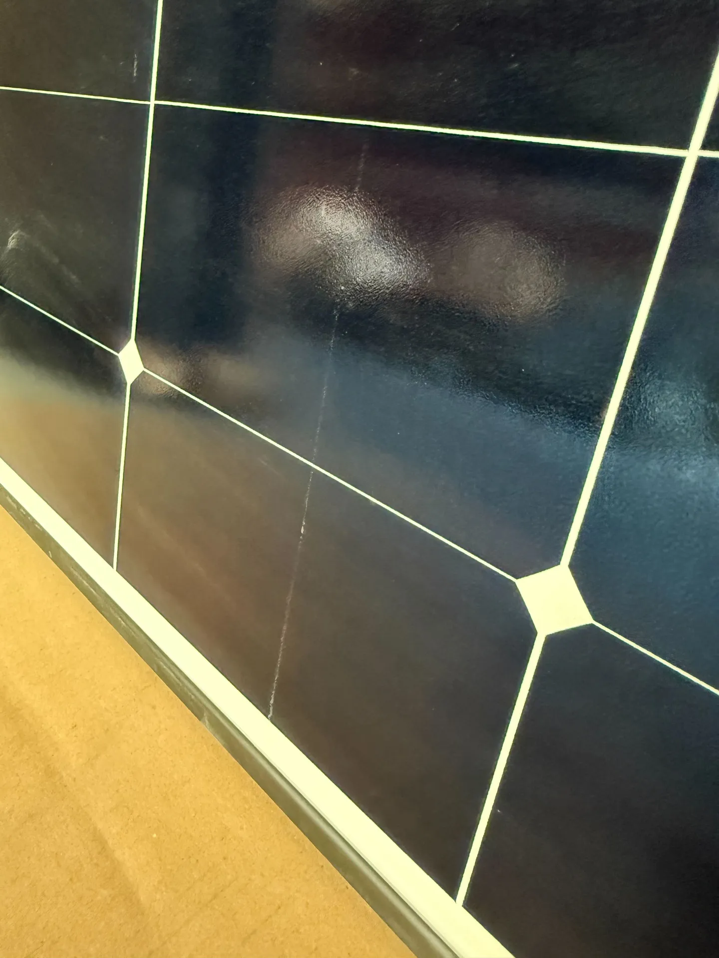 Solární panel monokrystalický Longi 525Wp Hi-MO 6 černý rám (zánovní)